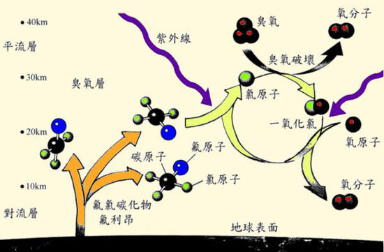 古代人如何保鮮食物?談?wù)劚浒l(fā)展史7