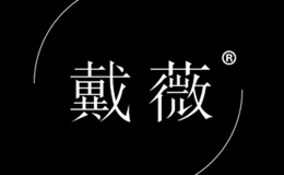 汕頭市萊雅內衣輔料有限公司