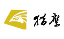 山東獵鷹航空科技有限公司