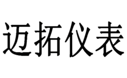 邁拓儀表股份有限公司